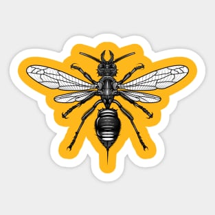 Armour Wasp Sticker